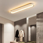 Plafondlamp met Ovale Vorm en Dimbare Lichtstanden