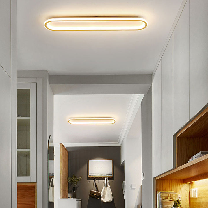 Plafondlamp met Ovale Vorm en Dimbare Lichtstanden