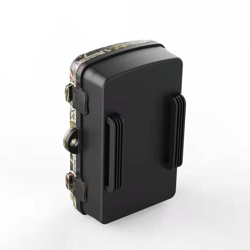 Wildlife Camera Nachtobservatie Voor Dierenactiviteit