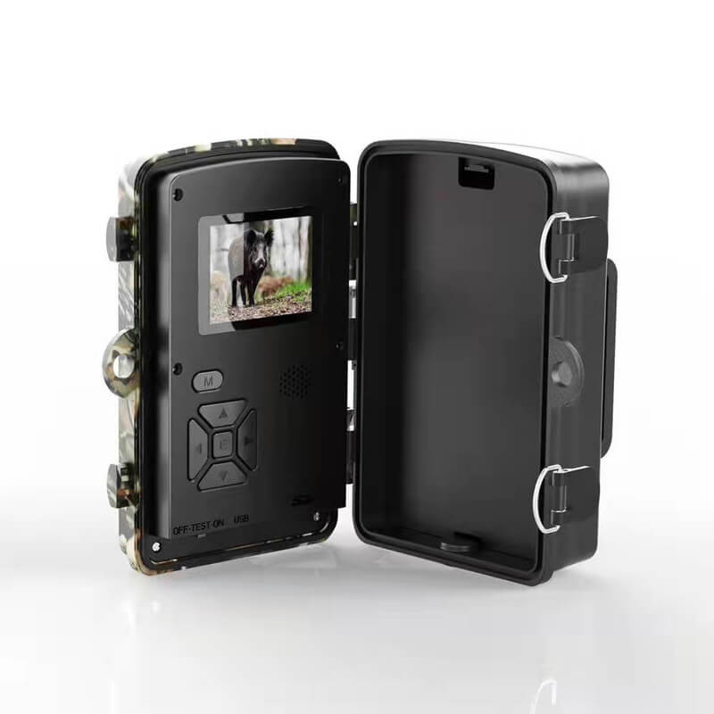 Wildlife Camera Nachtobservatie Voor Dierenactiviteit