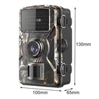 Wildlife Camera Nachtobservatie Voor Dierenactiviteit