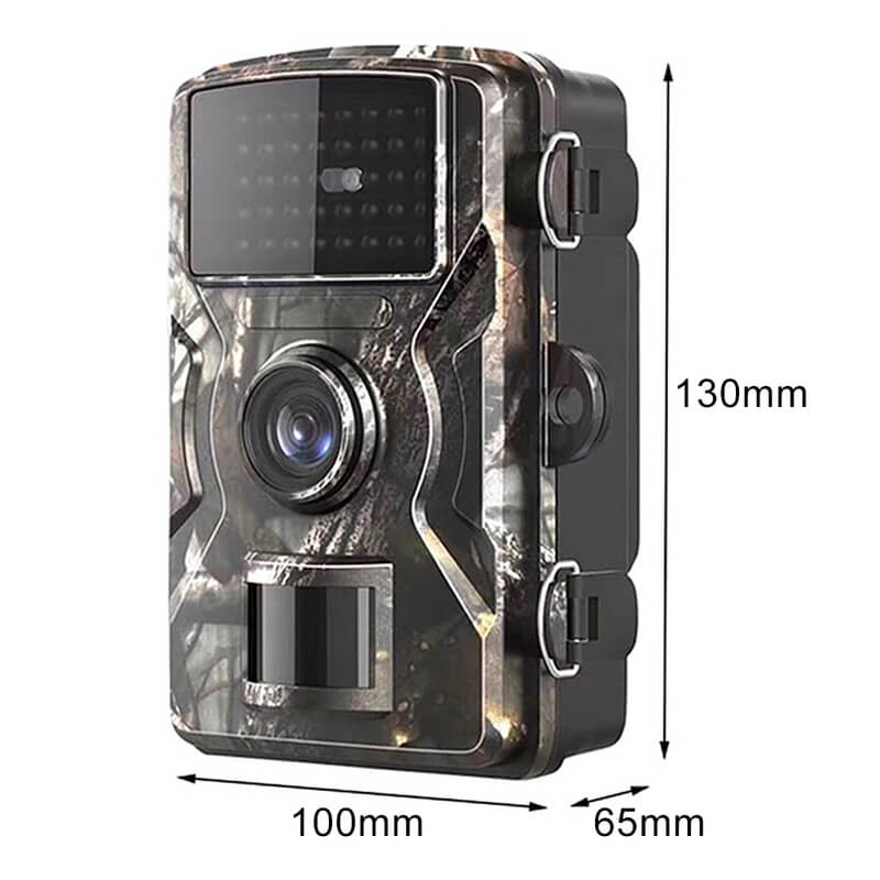Wildlife Camera Nachtobservatie Voor Dierenactiviteit