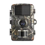 Wildlife Camera Nachtobservatie Voor Dierenactiviteit