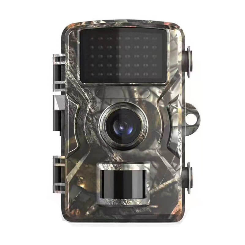 Wildlife Camera Nachtobservatie Voor Dierenactiviteit