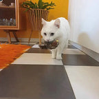Interactief Vogelspeeltje voor Katten met Geluid en Veerbeweging