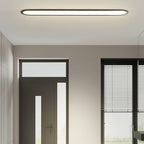 Ovale Plafondlamp Met Metalen Behuizing En Acrylkap