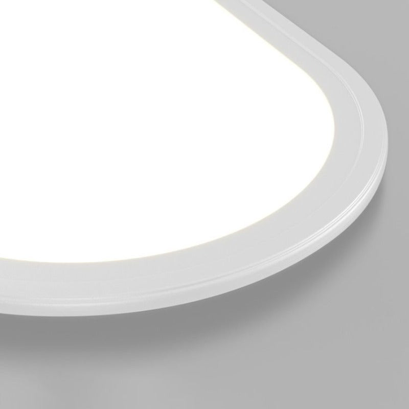 Ovale Plafondlamp Met Metalen Behuizing En Acrylkap