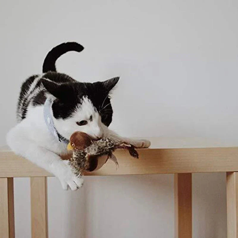 Interactief Vogelspeeltje voor Katten met Geluid en Veerbeweging