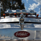 Radiatorbeeld Eend Met Massieve Constructie En Universele Montage