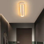 Plafondlamp met Ovale Vorm en Dimbare Lichtstanden