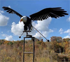 Metalen Windvogel met Bewegende Vleugels en Weerbestendige Constructie