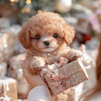 Interactieve Pluche Hond met Realistische Bewegingen