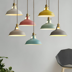 Industriële Retro Hanglamp Metaal 1‑Lichts Voor Restaurant