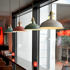Industriële Retro Hanglamp Metaal 1‑Lichts Voor Restaurant