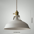 Industriële Retro Hanglamp Metaal 1‑Lichts Voor Restaurant
