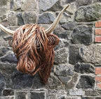 Wandsculptuur Krachtige Natuuruitstraling voor Unieke Interieurs