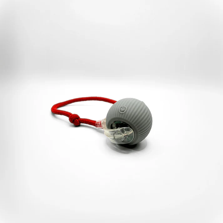 Katten Speelbal Met Automatische Beweging