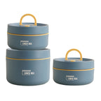 Geïsoleerde Lunchbox Met Meerdere Compartimenten