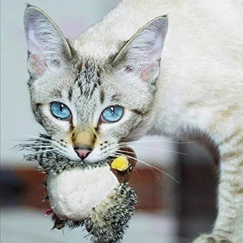 Interactief Vogelspeeltje voor Katten met Geluid en Veerbeweging