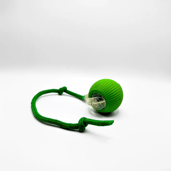 Katten Speelbal Met Automatische Beweging