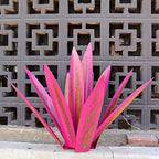 Metalen agave tuinsculptuur voor een decoratief tuinaccent