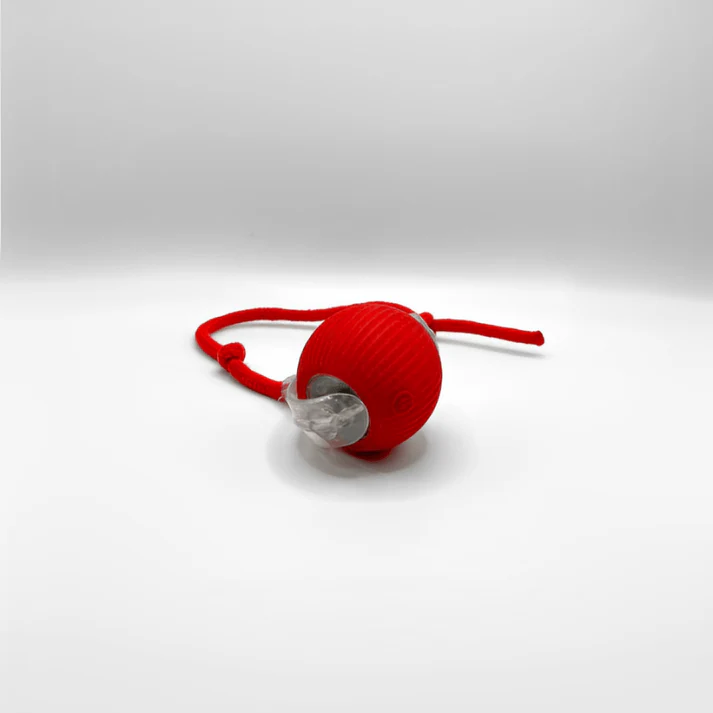 Katten Speelbal Met Automatische Beweging
