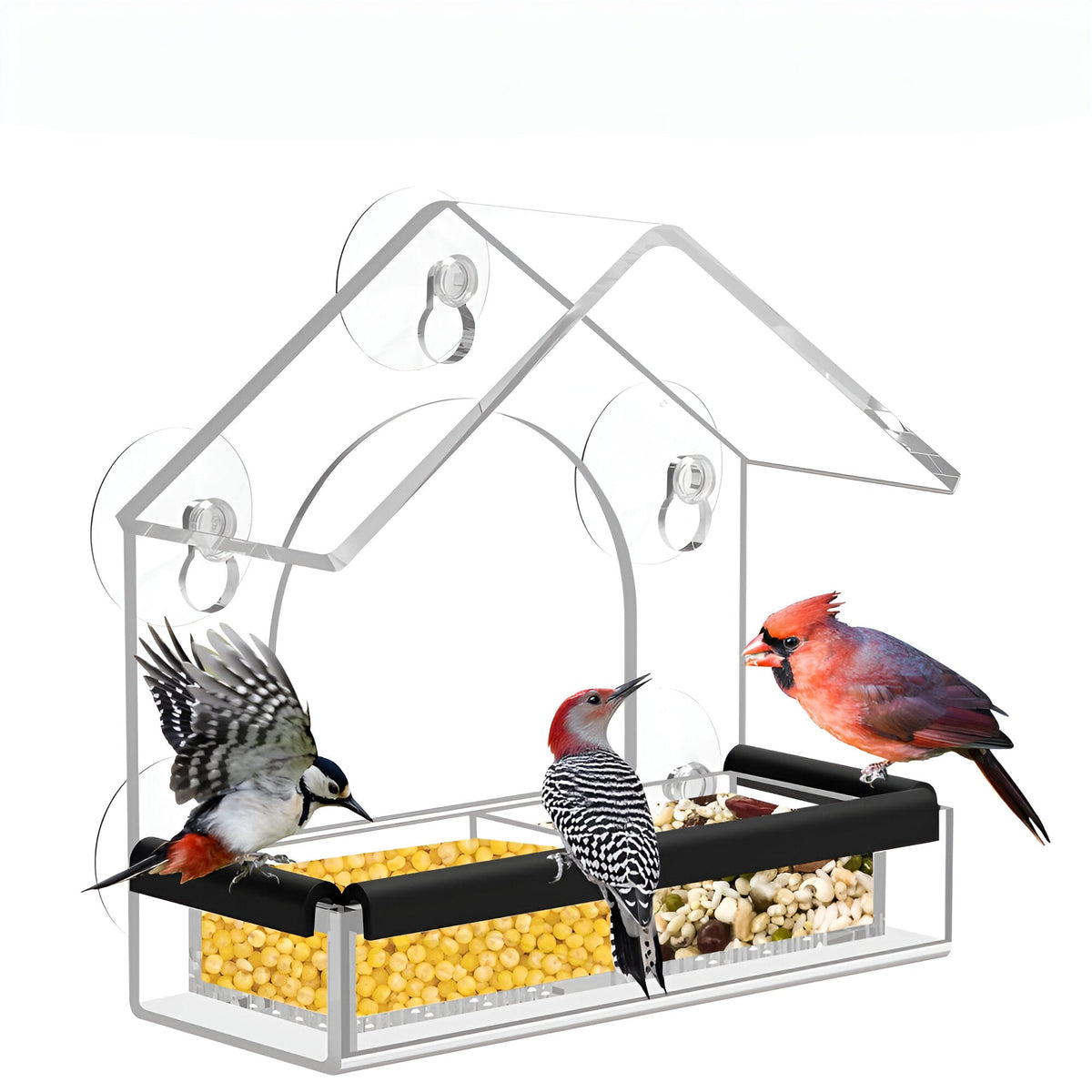 Acryl Vogelvoederhuis met Vensterbevestiging en Transparante Observatie