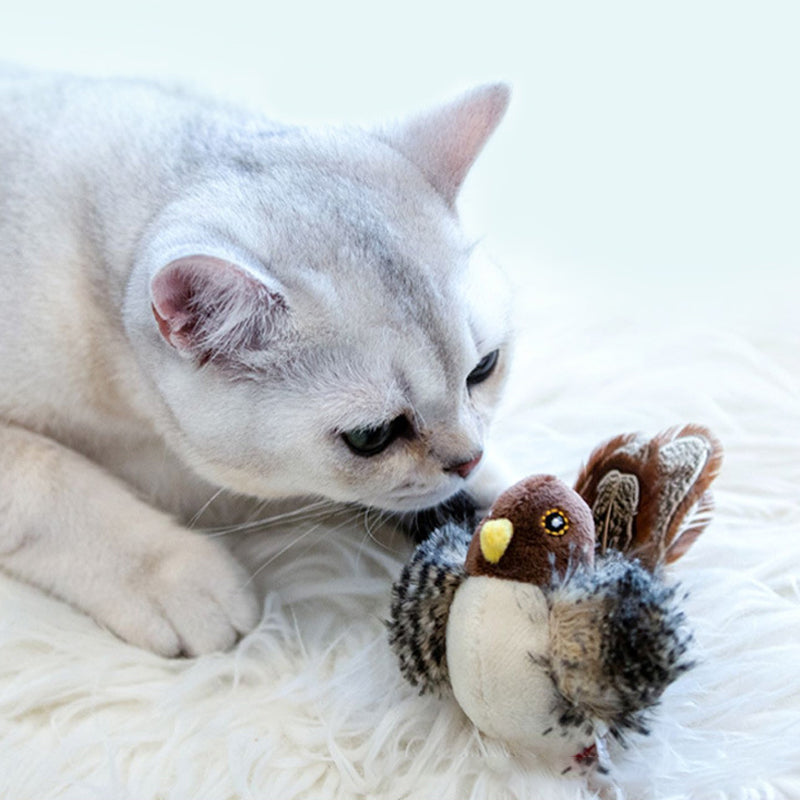 Interactief Vogelspeeltje voor Katten met Geluid en Veerbeweging