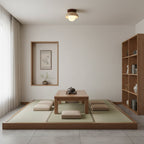Compacte Plafondlamp Voor Moderne Interieurs