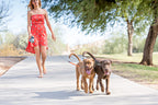 Dubbele hondenriem voor twee honden met afzonderlijke remknoppen