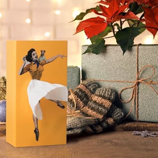 Decoratieve Tissuedoos van Kunststof met Creatief Ontwerp voor Woonruimte