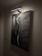 Draadloze LED Schilderijverlichting ArtGlow Elegante Verlichting voor Kunst en Decor