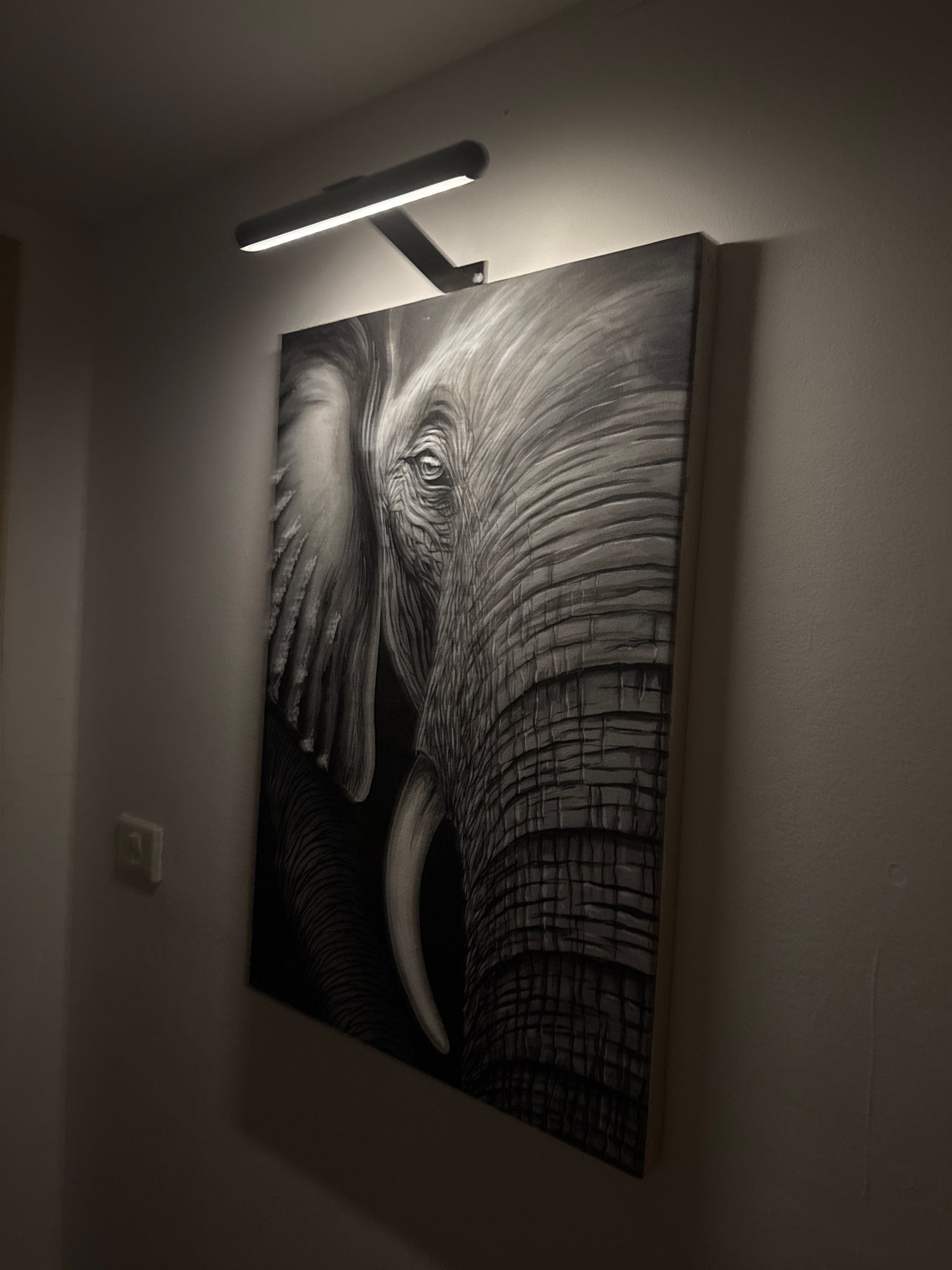 Draadloze LED Schilderijverlichting ArtGlow Elegante Verlichting voor Kunst en Decor