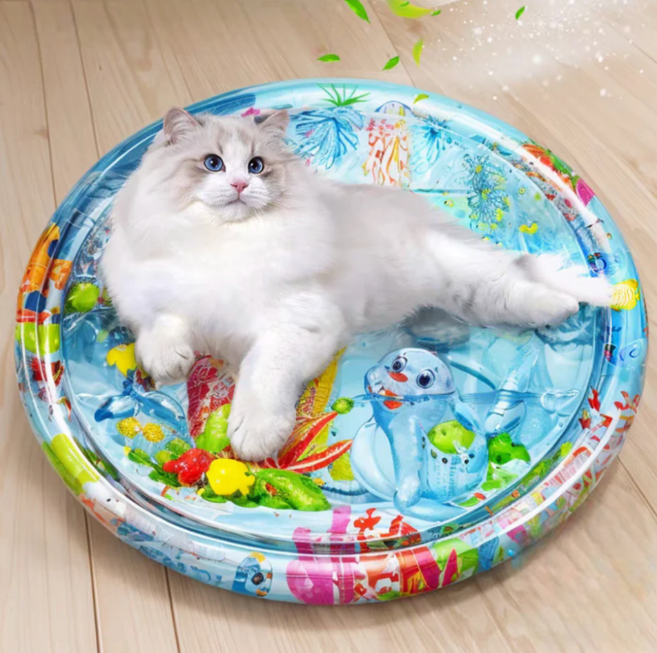 Speelmat voor Katten met Krasbestendig Ontwerp en Zintuiglijke Stimulatie
