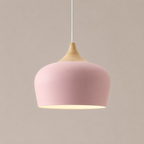 Hanglamp Met Gerichte Downlight En Verstelbare Hoogte Voor Moderne Binnenruimtes