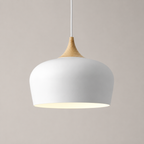Hanglamp Met Gerichte Downlight En Verstelbare Hoogte Voor Moderne Binnenruimtes