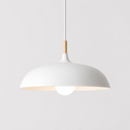 Hanglamp Met Gerichte Downlight En Verstelbare Hoogte Voor Moderne Binnenruimtes