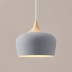 Hanglamp Met Gerichte Downlight En Verstelbare Hoogte Voor Moderne Binnenruimtes