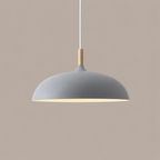 Hanglamp Met Gerichte Downlight En Verstelbare Hoogte Voor Moderne Binnenruimtes