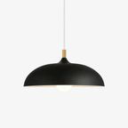 Hanglamp Met Gerichte Downlight En Verstelbare Hoogte Voor Moderne Binnenruimtes