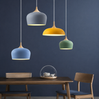 Hanglamp Met Gerichte Downlight En Verstelbare Hoogte Voor Moderne Binnenruimtes