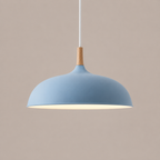 Hanglamp Met Gerichte Downlight En Verstelbare Hoogte Voor Moderne Binnenruimtes