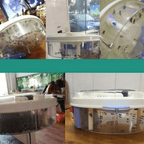 Compacte ECO Insectenvanger met LED Technologie en Stil Ontwerp