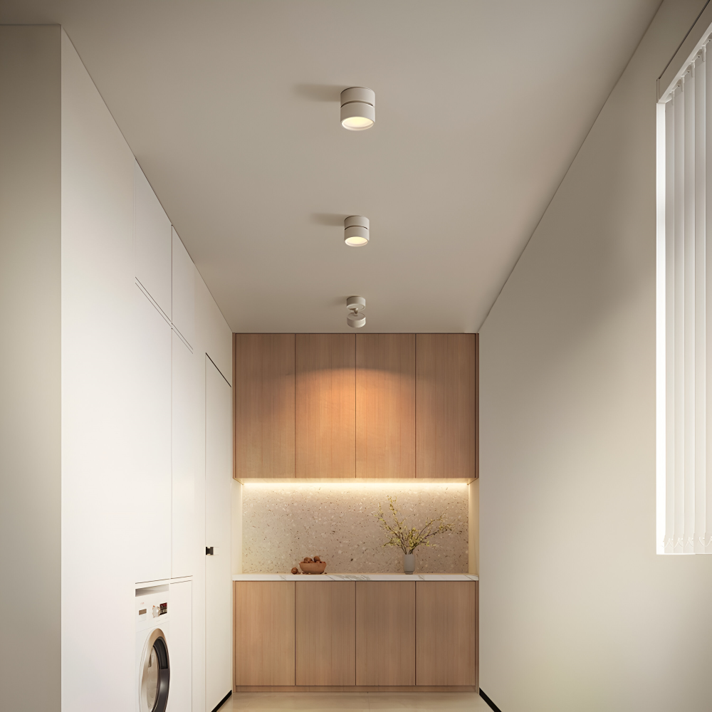 Verstelbare LED Opbouwspot van Aluminium met Dimbare Verlichting