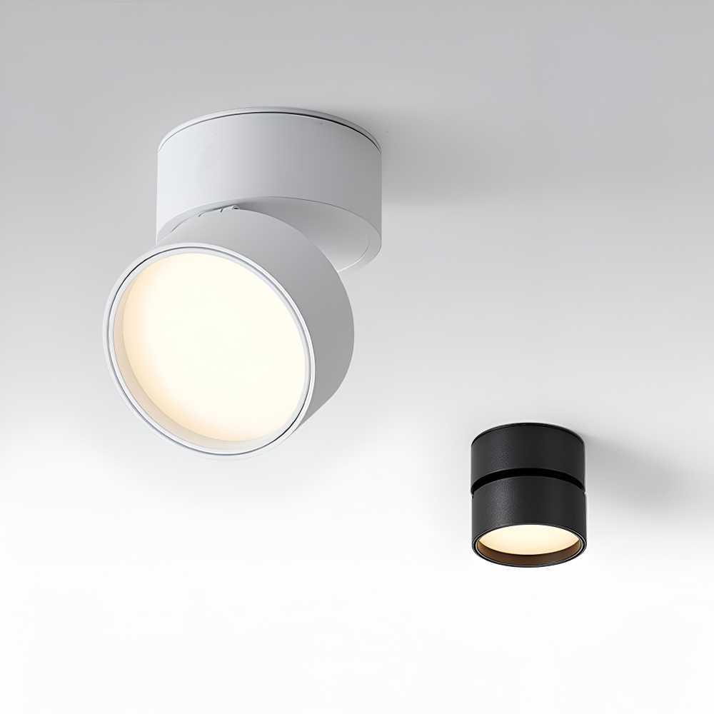 Verstelbare LED Opbouwspot van Aluminium met Dimbare Verlichting