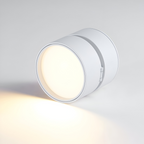 Verstelbare LED Opbouwspot van Aluminium met Dimbare Verlichting
