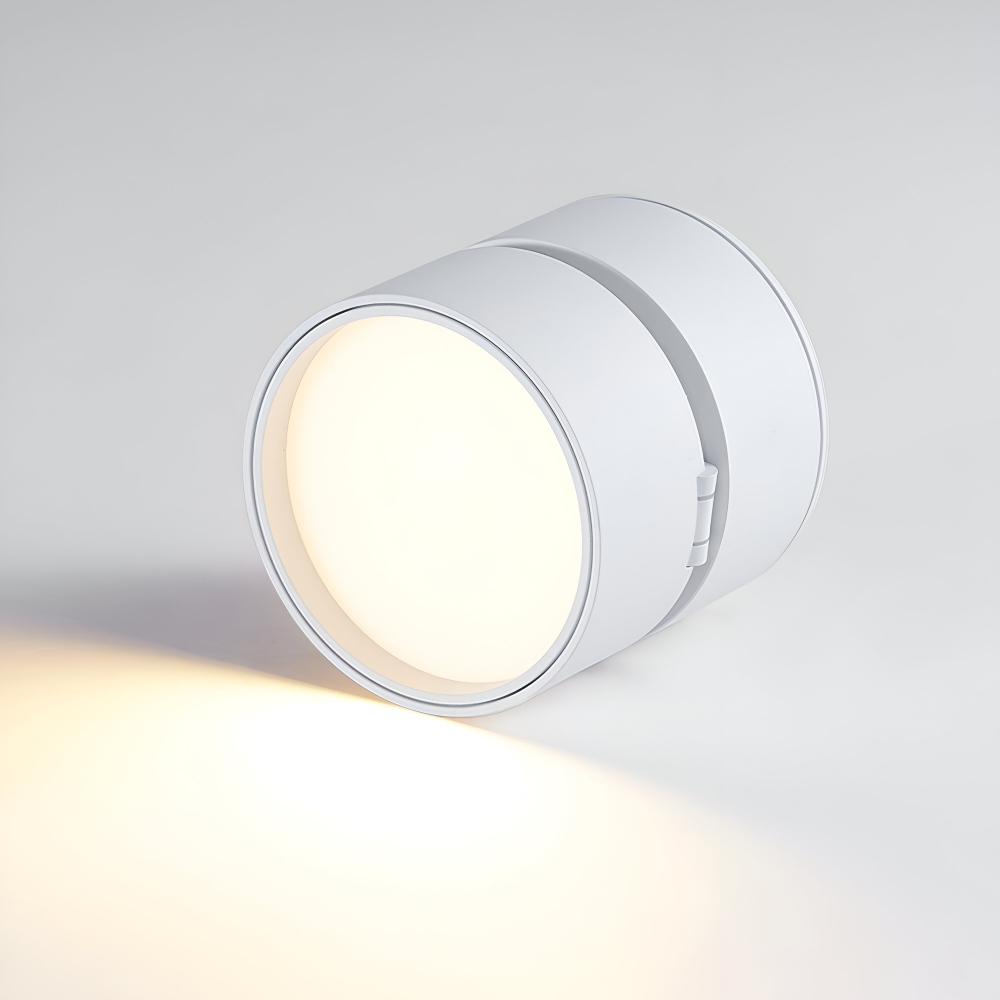 Verstelbare LED Opbouwspot van Aluminium met Dimbare Verlichting
