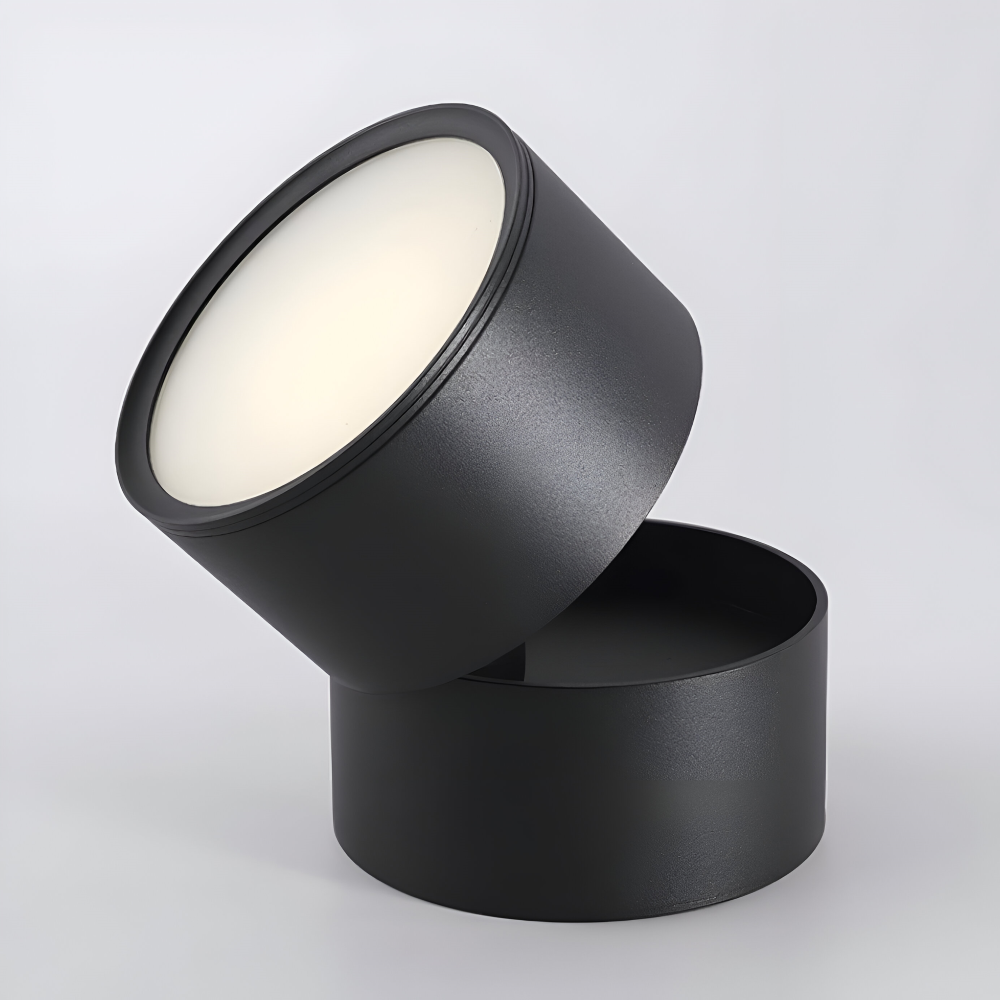 Verstelbare LED Opbouwspot van Aluminium met Dimbare Verlichting