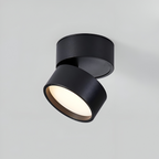 Verstelbare LED Opbouwspot van Aluminium met Dimbare Verlichting