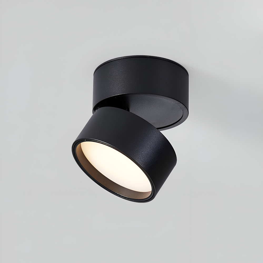 Verstelbare LED Opbouwspot van Aluminium met Dimbare Verlichting